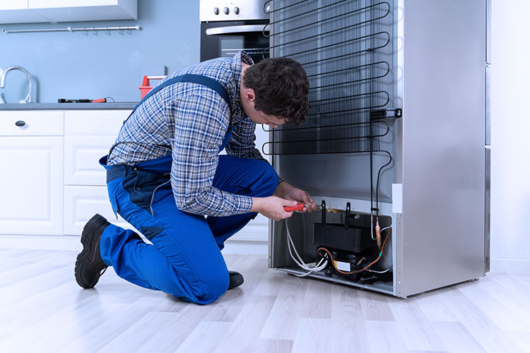 Freezer repair service